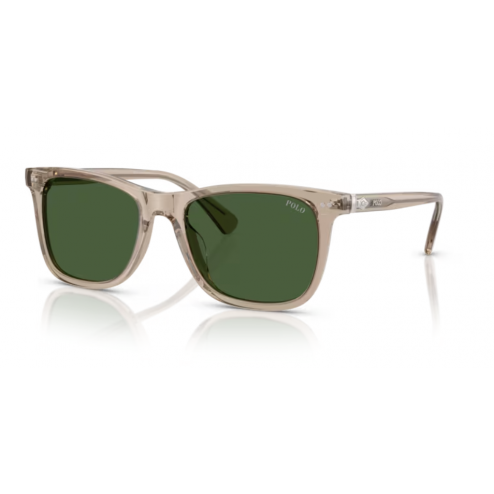 Ralph Lauren - 4220 - Transparant