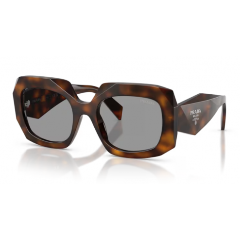 Prada - B23 - Havanna